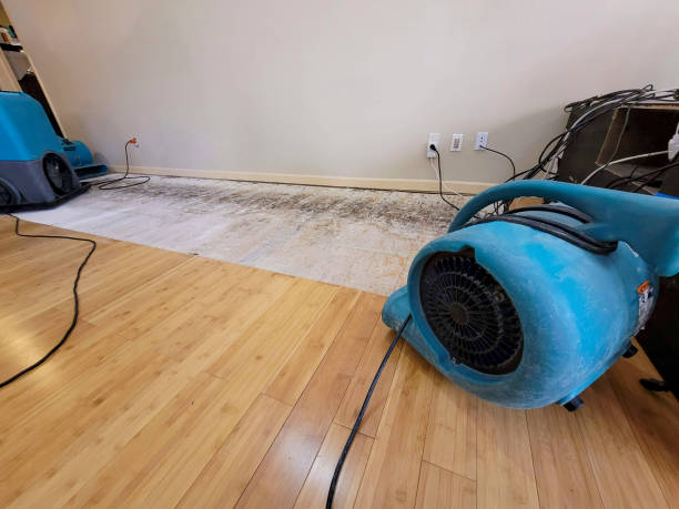 Professional Ceiling Water Damage Repair technician working in Brookfield, CT